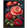 Poppy Flower - 11CT Stamped Cross Stitch - 40*55cm - Flower