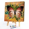 uk.everydayedeals (Limited Stock)Paint By Number - Oil Painting -  Butterfly (40*40Cm)