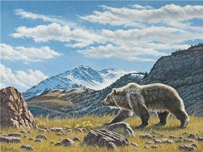 

The Mountain Bear – Paint By Numbers - 40*50CM, 501 Original