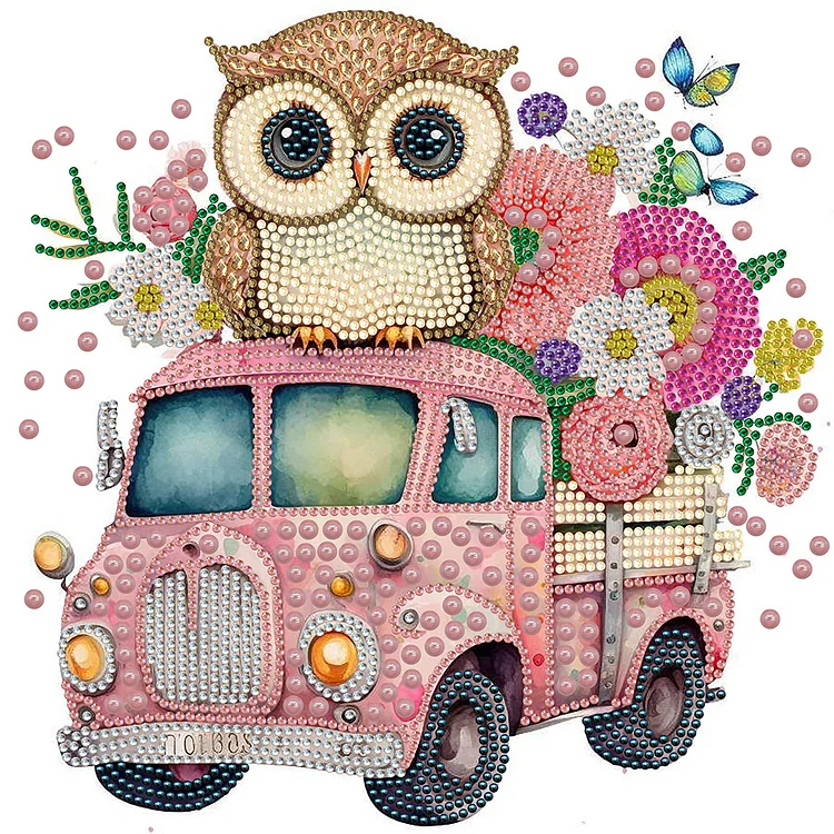 Pink Owl Car 30*30CM(Canvas) Special Shaped Drill Diamond Painting gbfke
