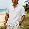 Men's Vintage Linen Casual Beach Vacation Short-Sleeve Polo Collar Shirt by Inlyline