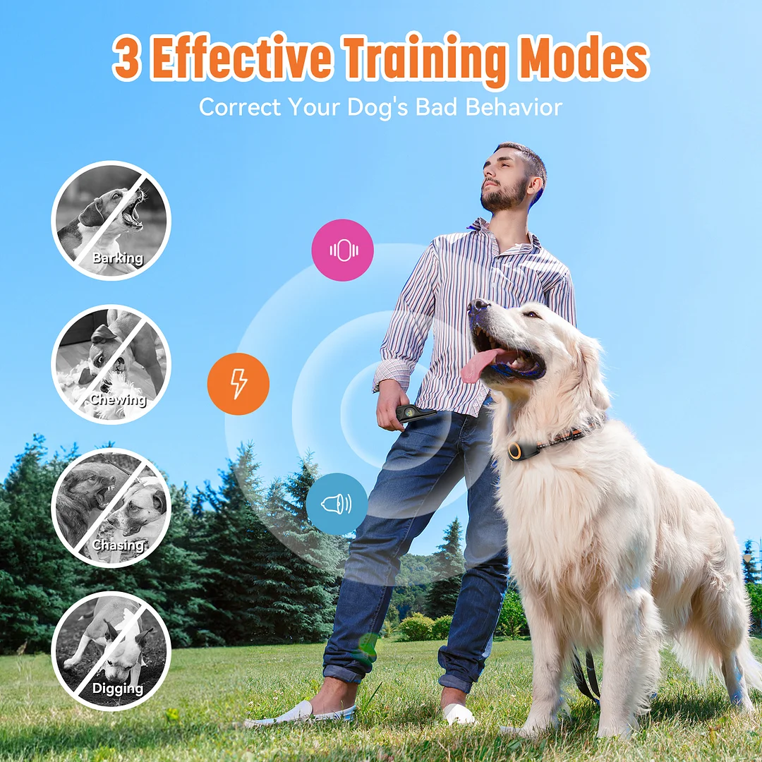 MAXLAPTER 2 Dogs Training Collar, IPX7 Waterproof Dog Shock Collar with 3 Modes, Rechargeable Pet Collar 2624ft Remote Control
