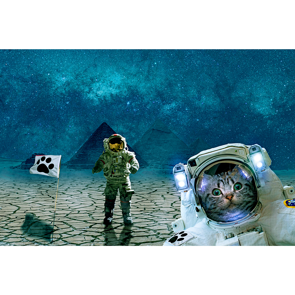 

Space Cat - 1000 Pieces Jigsaw Puzzle, 501 Original