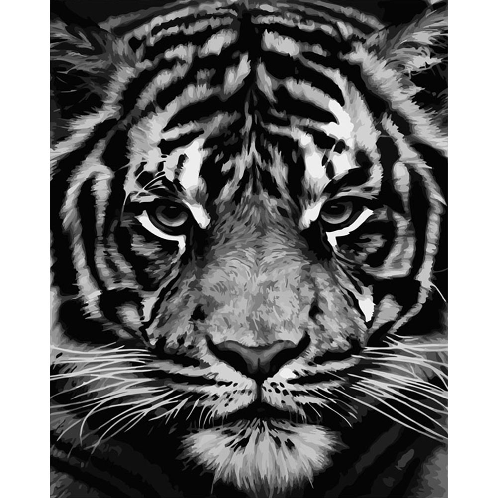 

40*50cm - Painting By Numbers - Tiger, 501 Original