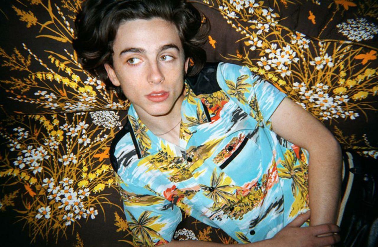 Timothee Chalamet 8x10 Picture Simply Stunning Photo Poster painting Gorgeous Celebrity #10