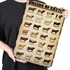 Breeds Of Cattle - Metal Tin Signs(8*12Inch/12*16Inch) - Animal