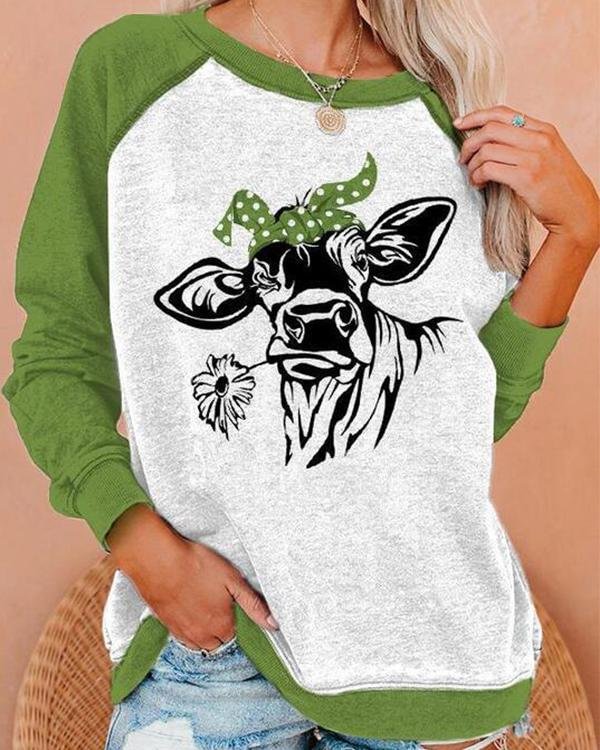 Lifelike Cow Biting A Daisy Print Women Raglan Sleeves Color-block Casual Sweatshirt - Chicaggo