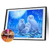 Diamond Painting -5D Full Round Drill Owl