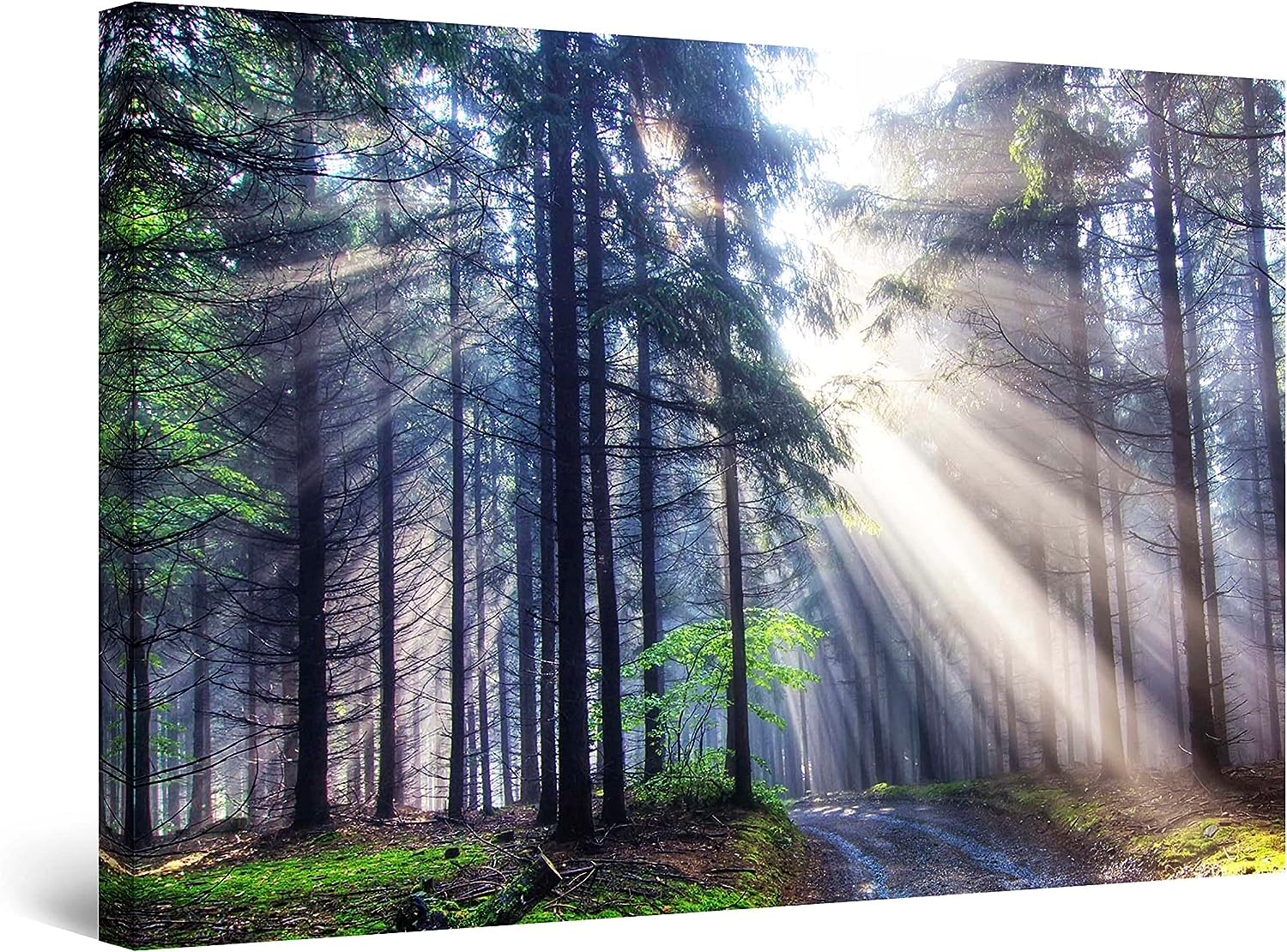 Startonight Canvas Wall Art - Light in the Forest Nature, Framed 32 x 48 Inches 32&#034; x 48&#034;