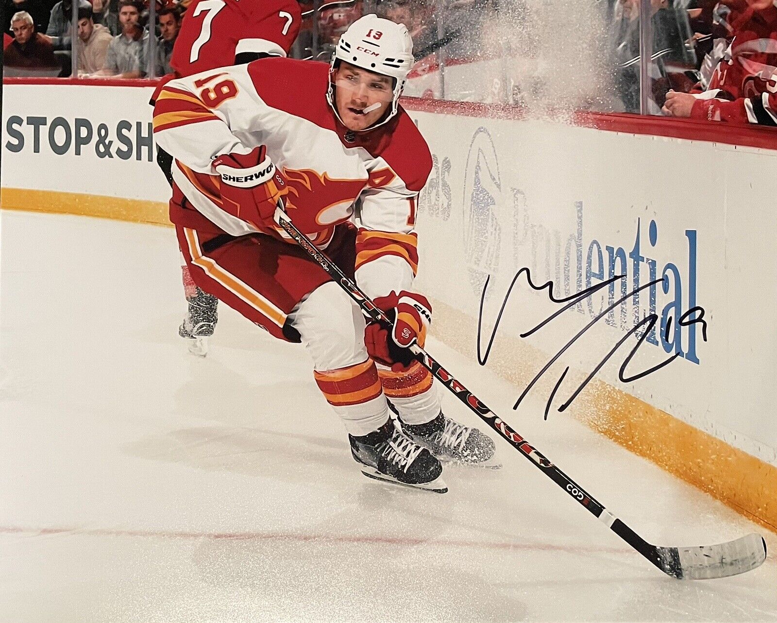 Matthew Tkachuk Signed Calgary Flames 8x10 Photo Poster painting