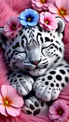 Luxury AB Velvet Diamond Painting Kit - Tiger
