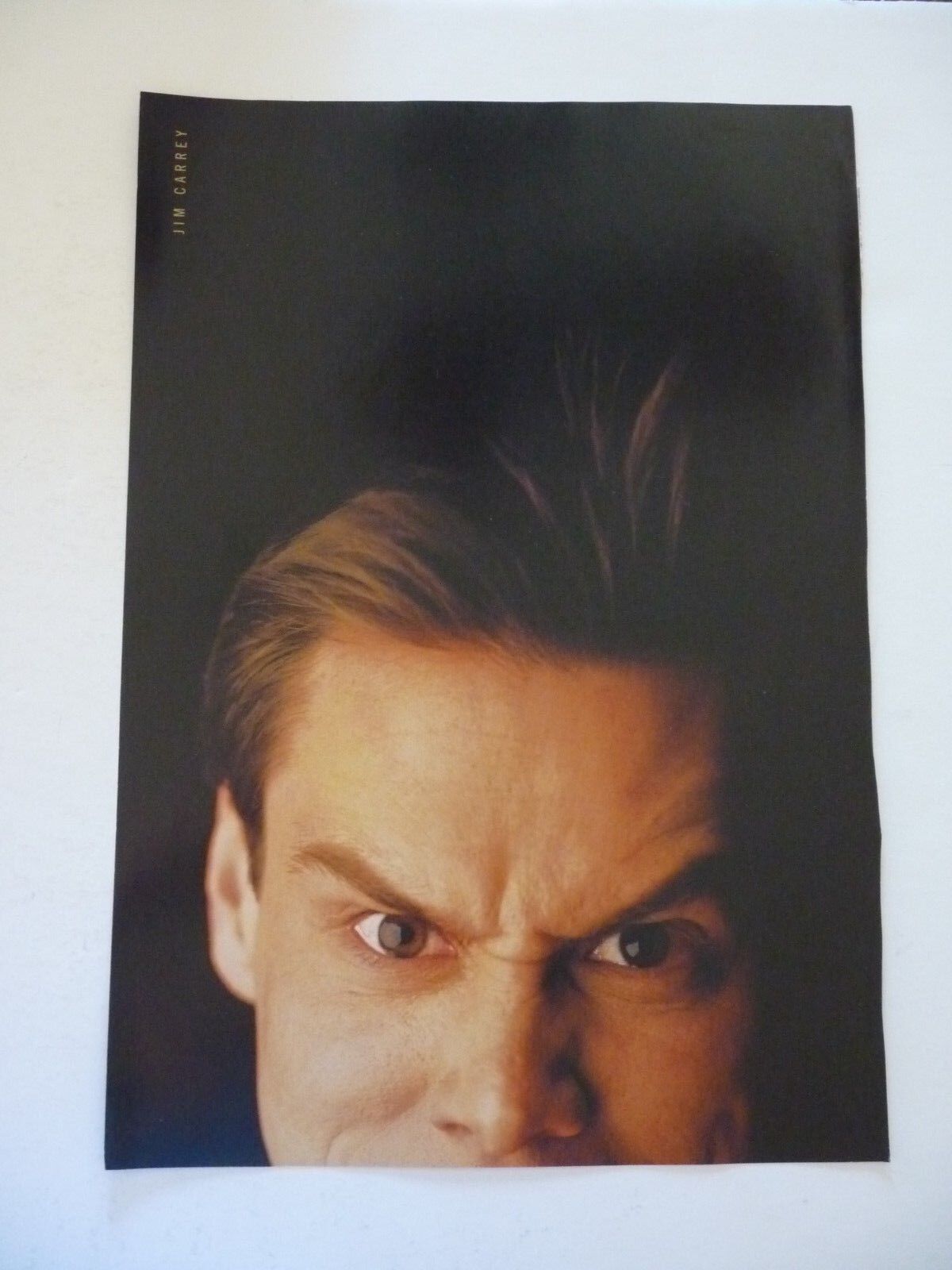 Jim Carrey Juliana Hatfield Double Sided Coffee Table Book Photo Poster painting Page 9x13