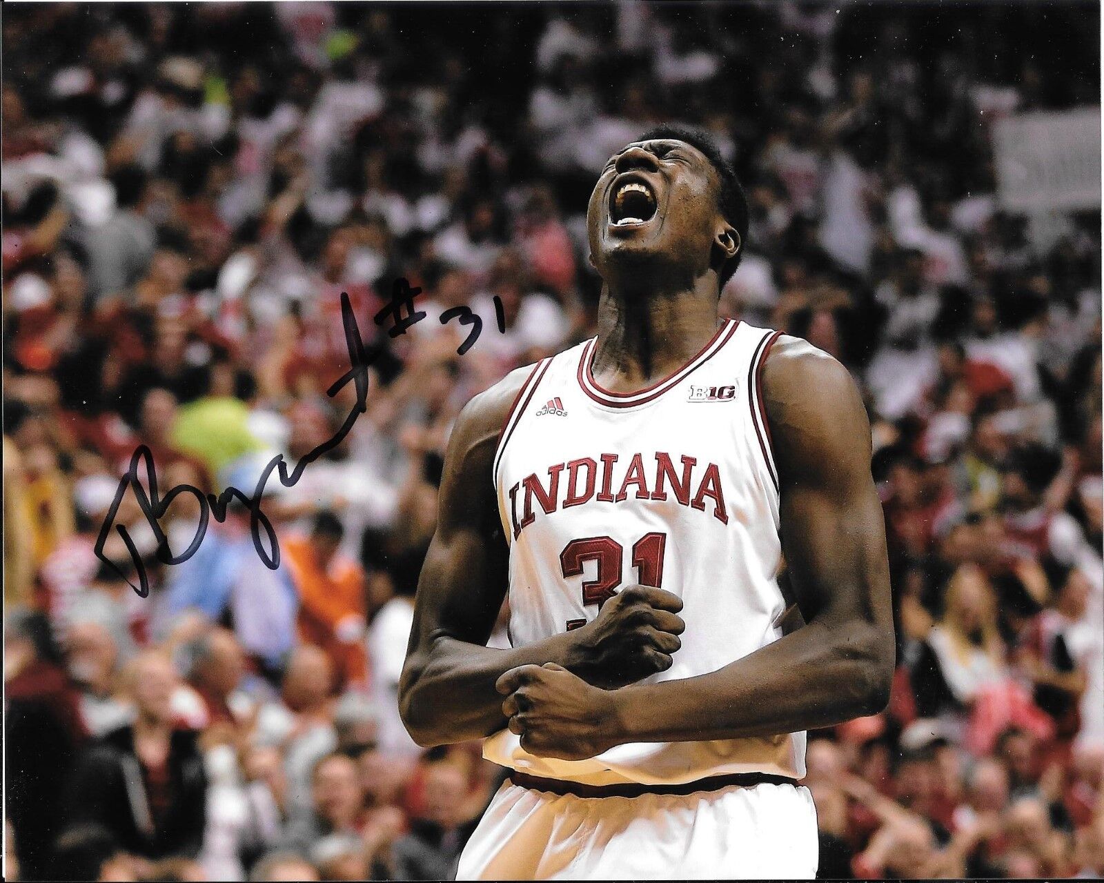 THOMAS BRYANT HAND SIGNED INDIANA HOOSIERS 8X10 Photo Poster painting W/COA