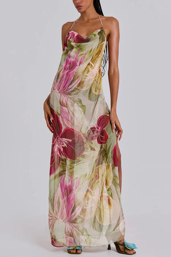 Floral Print Sexy Backless Slit See-Through Holiday Maxi Dress