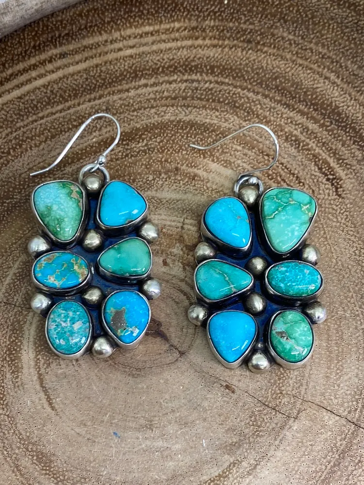 Manning Sterling 6 Stone Fish Hook Earrings - Turquoise
