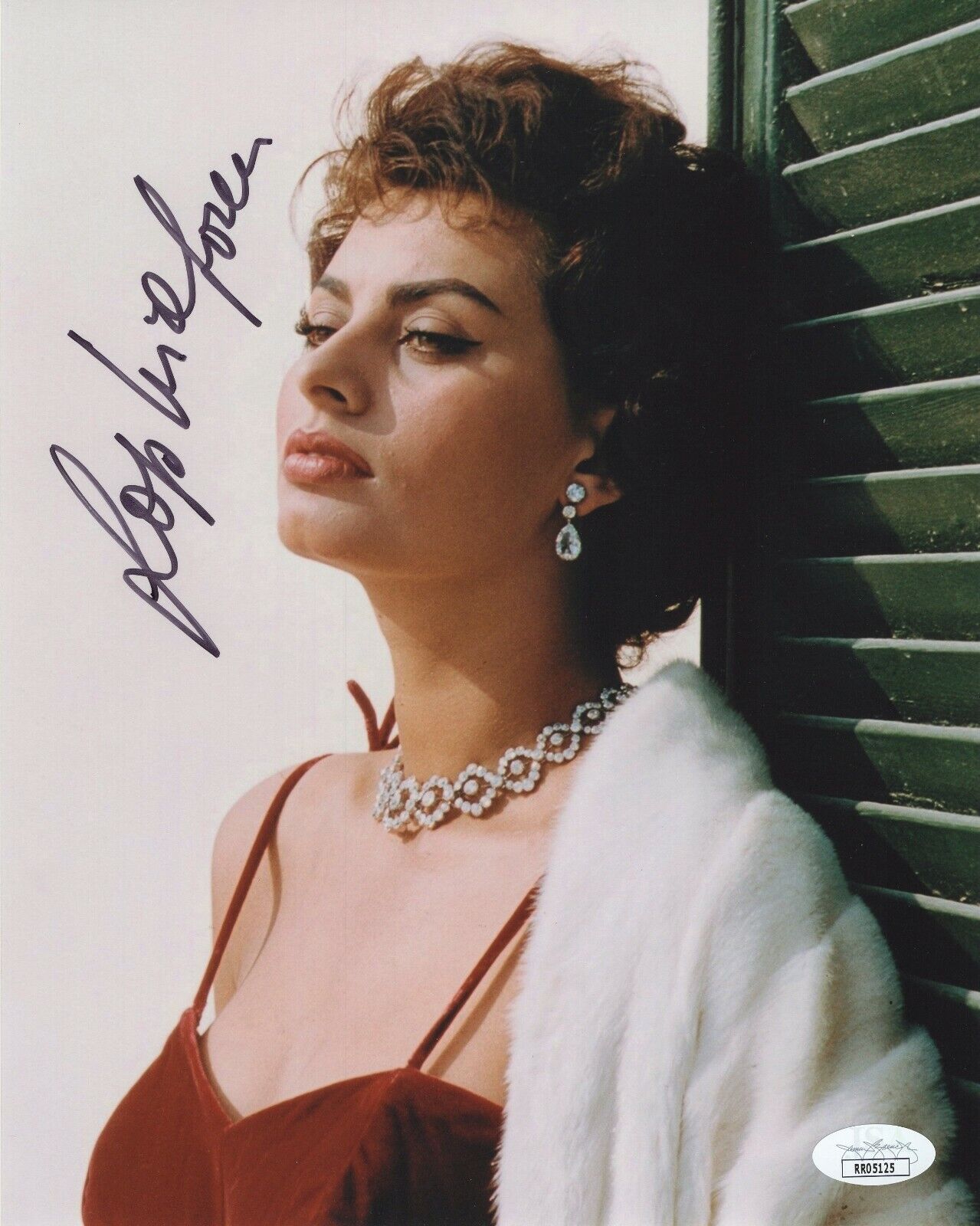 SOPHIA LOREN SIGNED AUTOGRAPH SEXY BEAUTIFUL 8X10 Photo Poster painting JSA COA #6