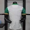 Joyfball 2025 Player Version Cameroon White Football Shirt 1:1 Thai Quality（The player version jersey is a bit tight, please pay attention to the size selection）