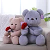 Gioiacombo™ Regalo di San Valentino Rose Teddy Bear