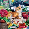 (40*40cm)Cat - Full Square Drill Diamond Painting