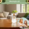 Avocado Seed Starter Vase Transparent Glass Avocado Tree Flower Vase for Balcony