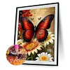 30x40cm Schmetterling 5d DIY Vollbohrer Runde Diamantmalerei Kit Haus Wanddekoration