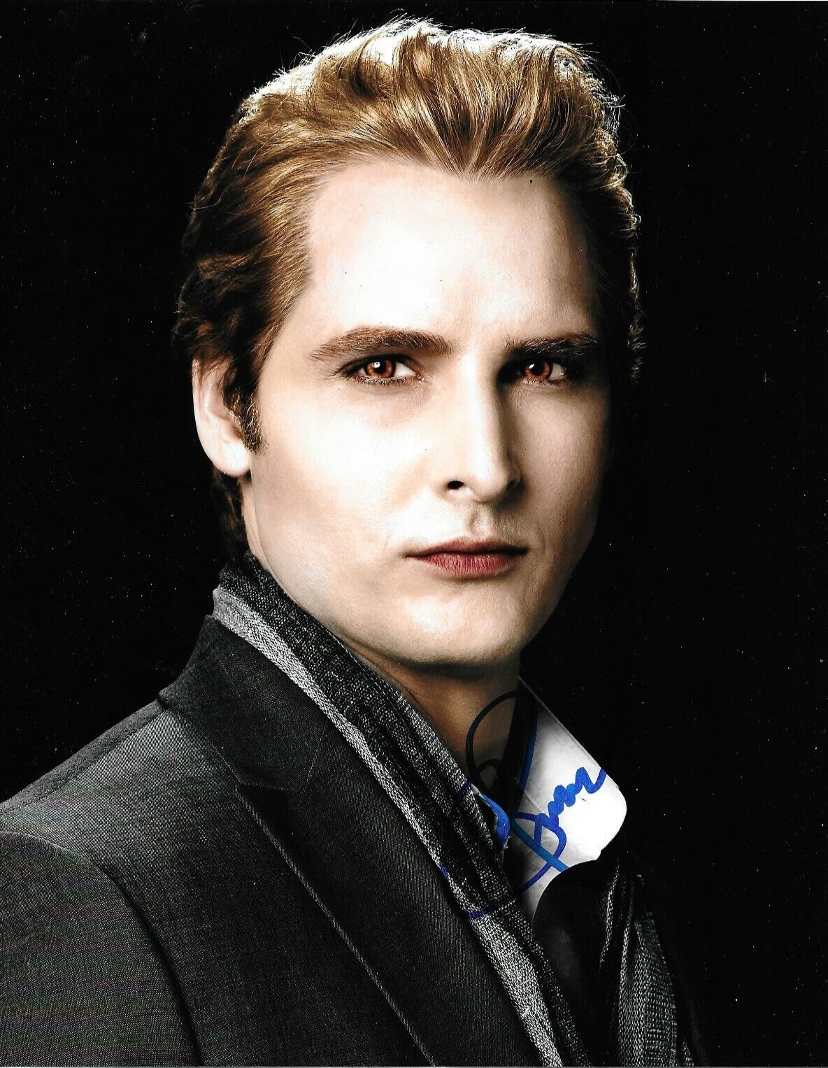 Peter Facinelli Signed Twilight 10x8 Photo Poster painting AFTAL