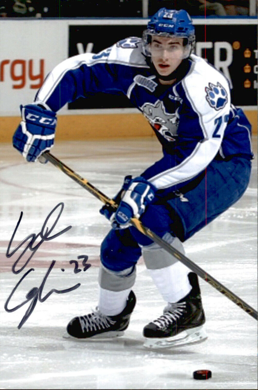 Kyle Capobianco SIGNED 4x6 Photo Poster painting SUDBURY WOLVES / ARIZONA COYOTES #2