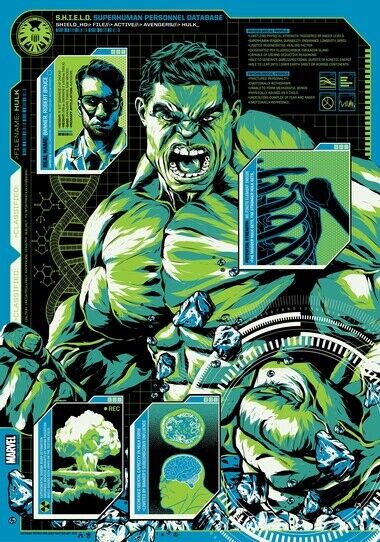 HULK POSTER - SHIELD SUPERHUMAN PERSONAL DATA - Photo Poster painting QUALITY INSERT -  POST