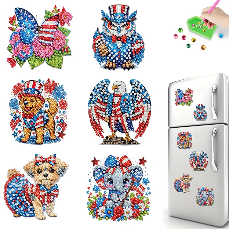 6Pcs Diamond Painting Refrigerator Magnets Diamond Art Kits for Adults Beginners gbfke