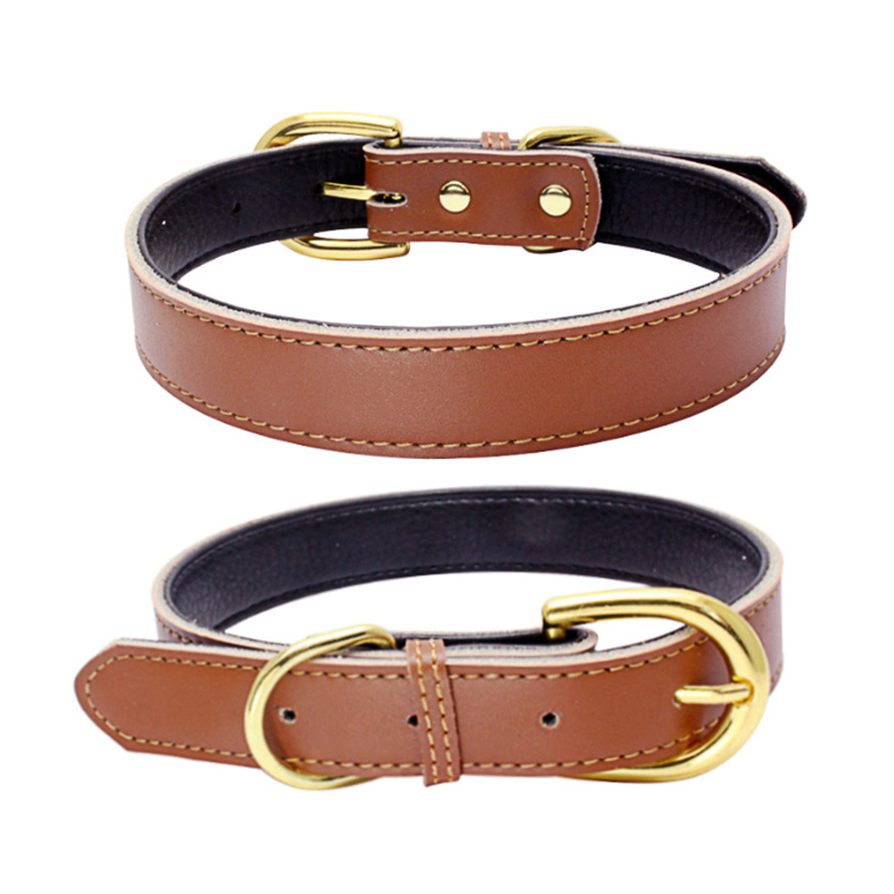 

Leather collar for small dogs, 501 Original