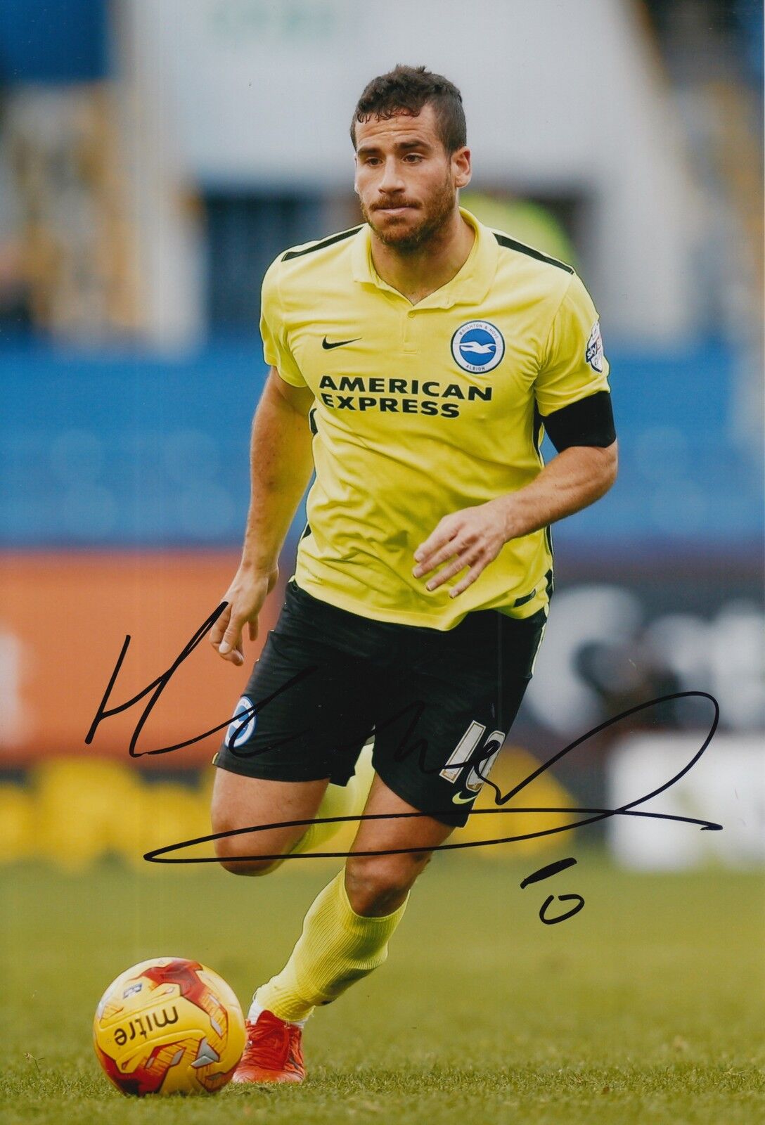 BRIGHTON & HOVE ALBION HAND SIGNED TOMER HEMED 12X8 Photo Poster painting 2.