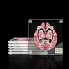 Brain Slice Acrylic Coasters Table Mats Party Favors
