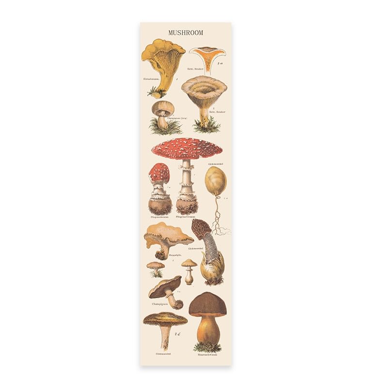 Quotes Mushroom Tapestry Wall Hanging Mycology Mushroom Champignon Room Abstract Trippy Tapestry Wall Hanging Home Dorm