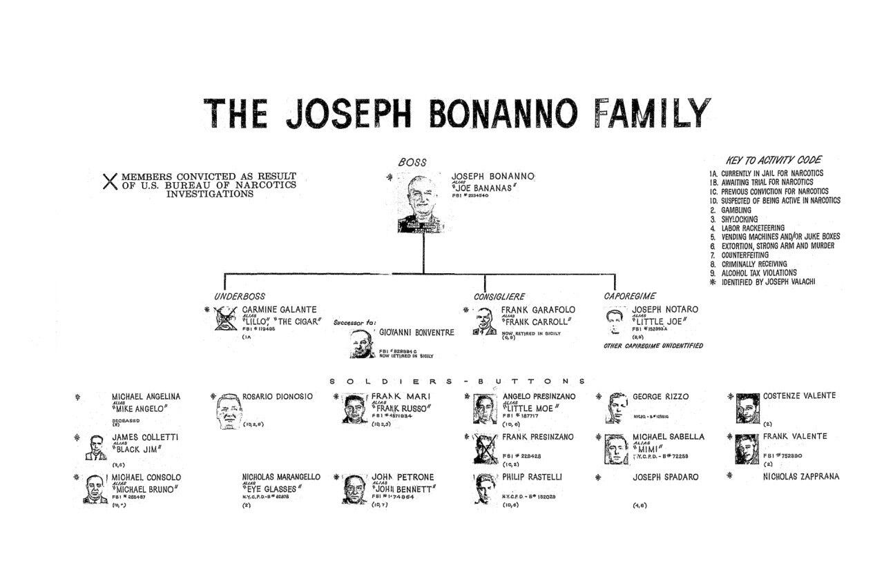 JOSEPH BONANNO FAMILY CHART 8X10 Photo Poster painting MAFIA ORGANIZED CRIME MOB MOBSTER PICTUR