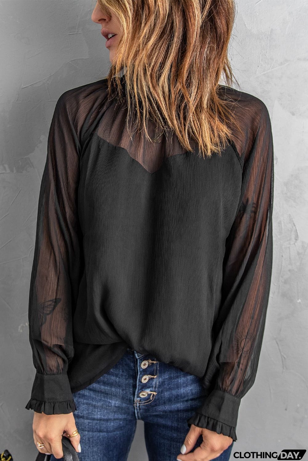 Sheer Ruffled Turtleneck Blouse