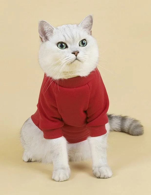 Cat sweater pet clothes Cat outfits