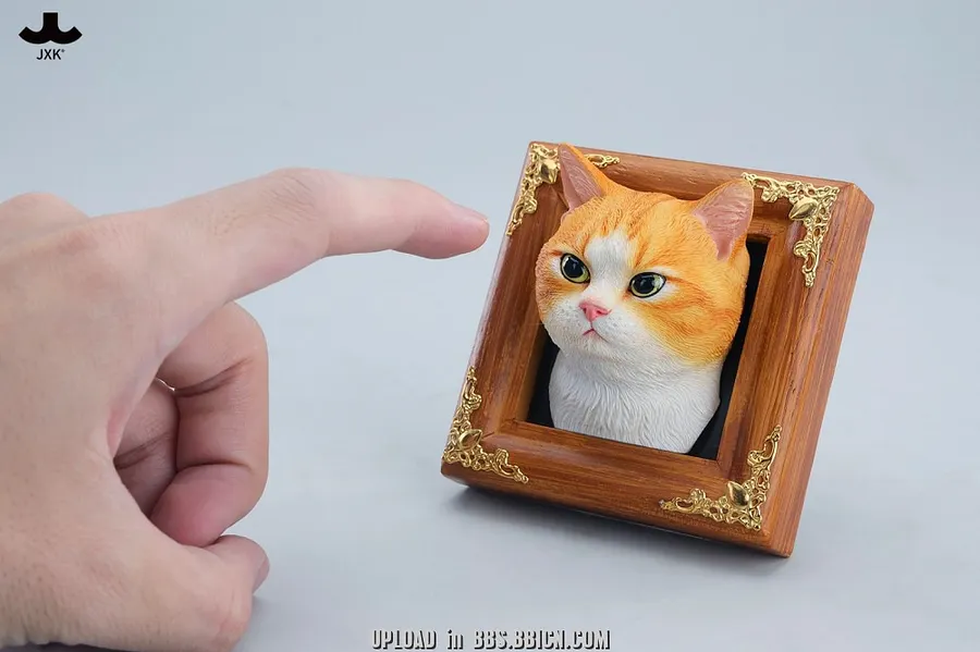 JXK - Gentle-eyed country cat JS2607 (Licensed)