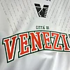 2024-2025 Venezia FC Away Football Shirt 1:1 Thai Quality