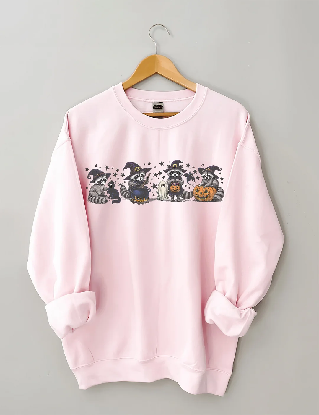 Raccoon Halloween Sweatshirt
