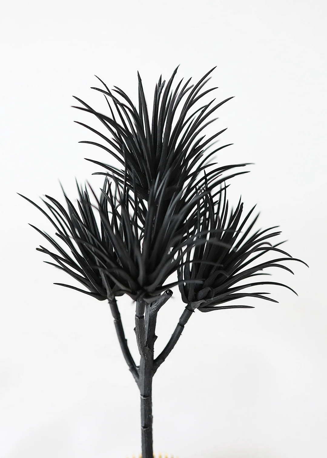 Plastic Artificial Succulent in Black - 8.5"
