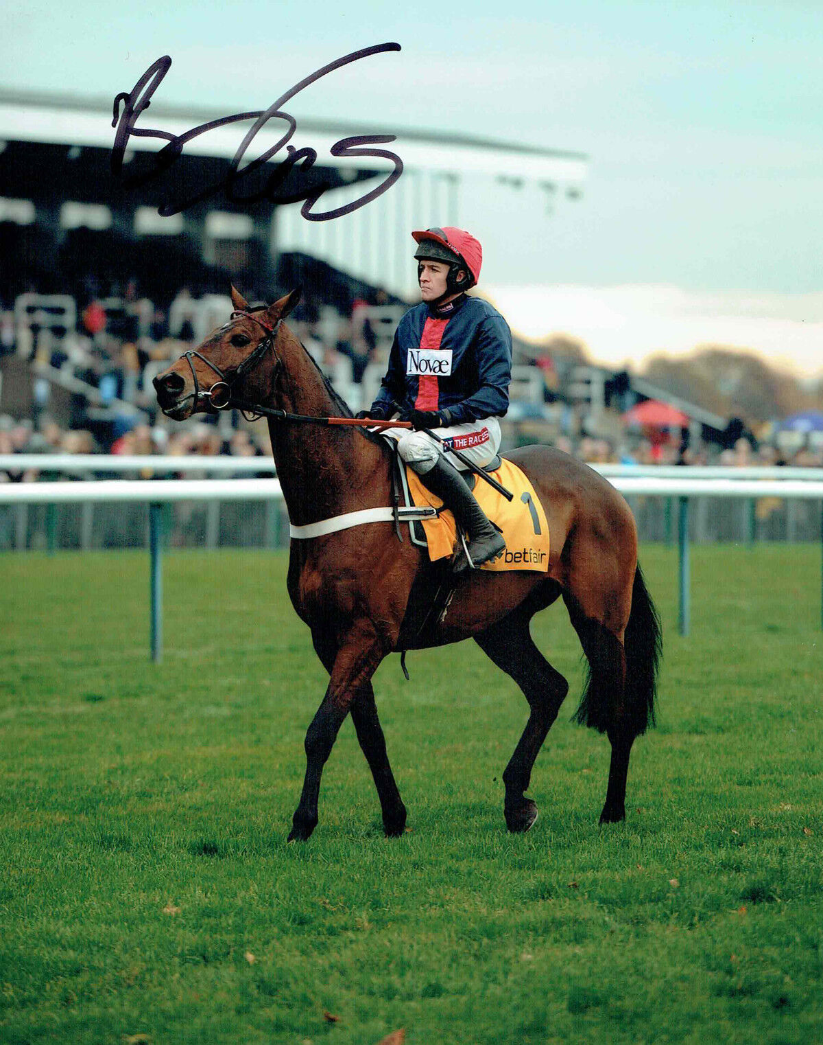 Barry GERAGHTY SIGNED Autograph 10x8 Photo Poster painting AFTAL COA Champion Jump Jockey