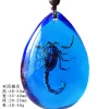 Insect Amber Pendant Natural Butterfly Specimen Insect Amber Necklace Children's Hanging Accessories