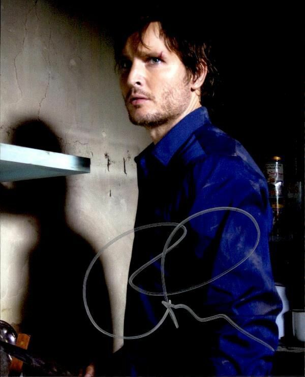 Peter Facinelli authentic signed celebrity 8x10 Photo Poster painting W/Cert Autographed 2616e