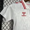 2024-2025 Denmark National Team Away Football Shirt 1:1 Thai Quality Kids Size