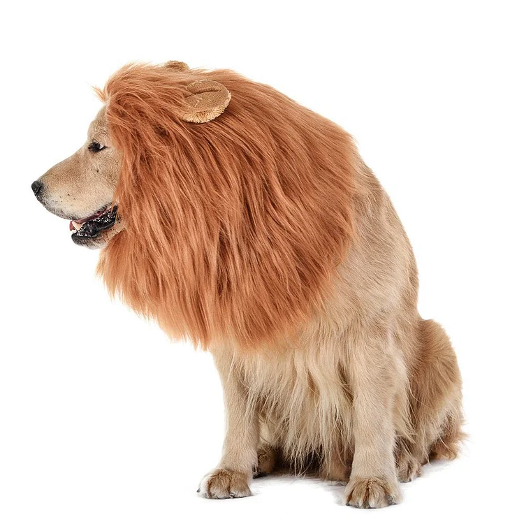 Cosplay Dog Headwear Lion Costume For Dog-elleschic