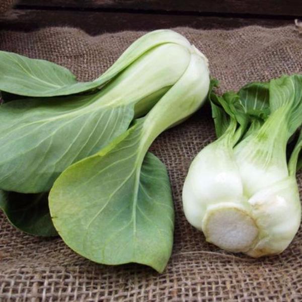 All year round 200pcs Chinese cabbage seeds