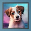 Diamond Painting -DIY Round Drill Pet Puppy（40x40cm）