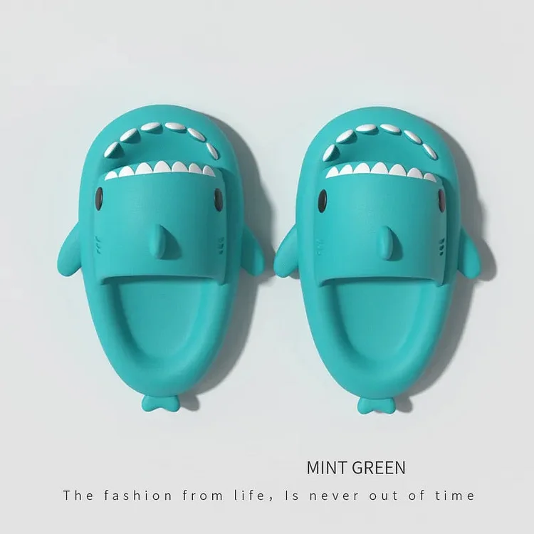 Shark slippers