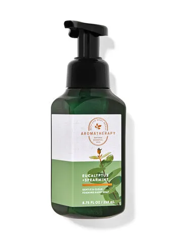 Eucalyptus SpearmintGentle & Clean Foaming Hand Soap