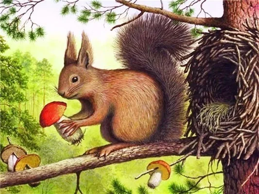 Diamond Painting - Full Round/Square Drill - Squirrel(30*40 - 50*60cm)